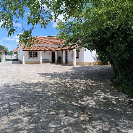 Вілла Casa Da Nogueira Томар Екстер'єр фото