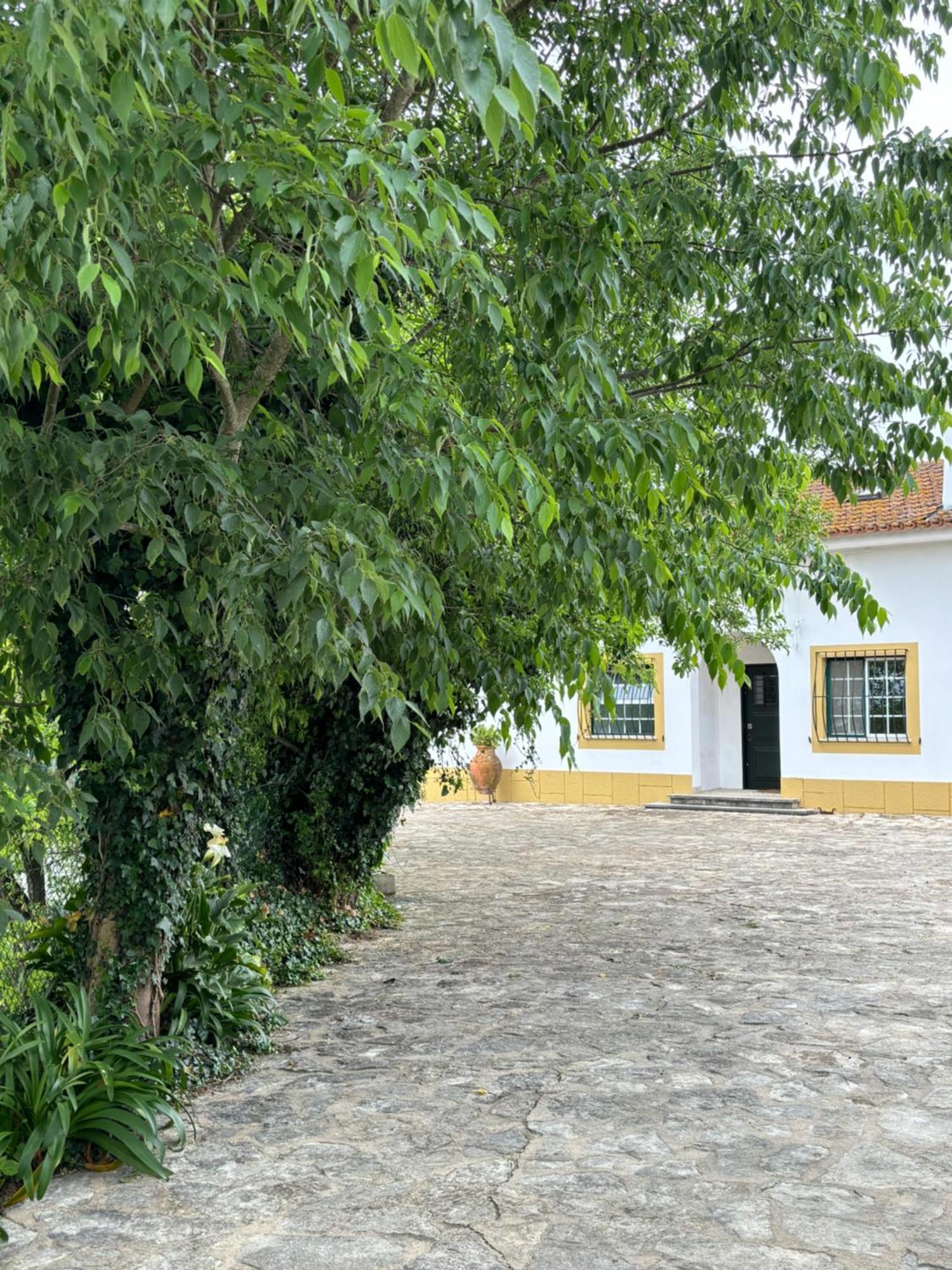 Вілла Casa Da Nogueira Томар Екстер'єр фото